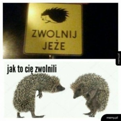 32736c8a-3feb-43a2-8505-2673cc616ae4