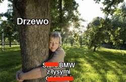 02f0b0fe-dad6-4fcb-8878-371eb203cda5