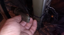 df0c08e1-7aed-458d-abd7-74e25fd4546a