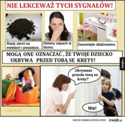 00b249ef-f53c-44aa-8272-ccc9b7883027