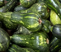 093f5778-c33e-4ede-8f96-9ff58116be60