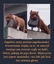 c509dddd-1fcd-4620-8076-1a388c2d4fe8