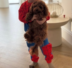 efc541f5-93b5-4fca-96ba-308f20654a68