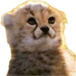 0c0f8ff2-46df-4c89-b474-98ddfb54efd5