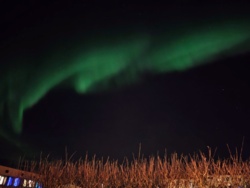 9024998a-cdbc-41a1-b85e-f41b4bdb798f