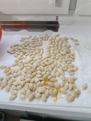 a1700bc6-a3c2-4914-b085-77d1d2197e7c