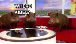 1488e1a3-7825-4979-aa56-f7c62d4ebbb4