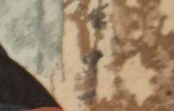 e9ec9e8c-64eb-4af7-ba0a-abedc37bd6ef