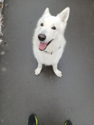 cce9b012-3085-44d4-87d6-f1f1704429b0