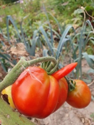 d4fdd1bb-16a8-4231-92bb-fa3d320fcb2c