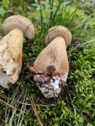 380175dc-9b45-4f8a-9907-c971d8065876