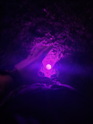 74211922-99ed-4734-bedb-67d65c17afe2