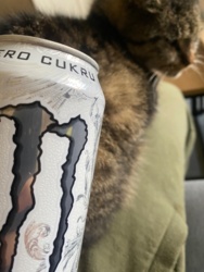 adaf0506-255a-4361-a7c4-e2cae039acf6