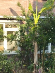 271b3952-7143-481c-ae88-b2a56953236e