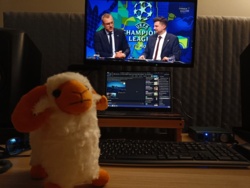 76bc3347-79b1-4b73-bea0-1964640b482b