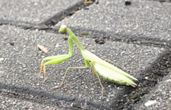 6544d2b8-24ca-4a9b-9129-de1a5a301d8b