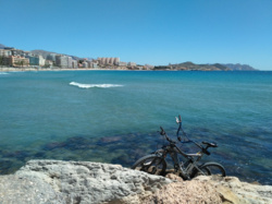 c01bd1fb-85cd-4742-a9be-60b9dfc99562