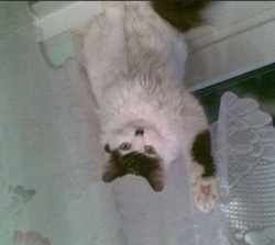 304da2c6-7d21-471d-8c47-3a2f6cc304b1