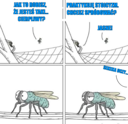 b6915ecb-2274-4b61-8f0a-28bb4f3ff187