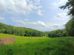 898c420f-2cbf-496d-9d84-ddae20b60ce5