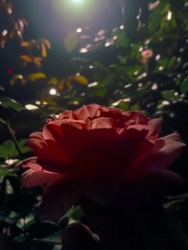 8d3ed9b3-a045-4978-9271-b8eab2aa71e7