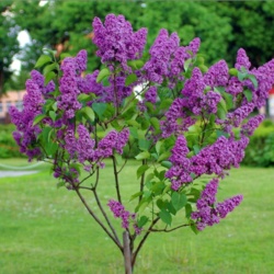 4a3801e3-ccb1-430f-a092-f297635385d7