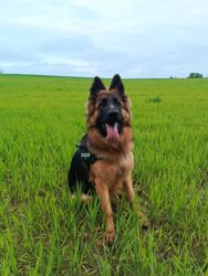 dbff6a62-d687-423e-a2f0-7828478bb666