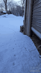 5aa627f1-5413-4ffe-86df-f86251465da8