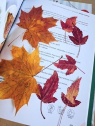 ded47dba-ff5a-4255-847b-6ce8b61d5815