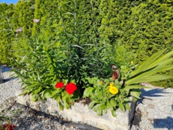 3e2cd0b7-f3a7-4efb-8bcd-bba0f35c892f