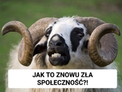 9586da4e-d6b3-4fc5-9206-892888e468a4