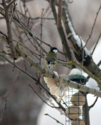 bb954cb5-bb8f-4299-9ae9-234794174ccc