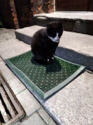 44321efd-7571-47fb-9c46-fadd0b2e96fd