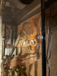 49d4aed9-2688-47d1-be01-c43bebefa987