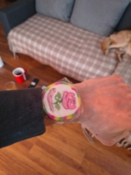 12bd31e5-7d0d-4cbc-b119-5e2df4334e1c