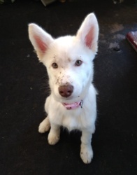 2c8cbf94-5922-41d1-81bb-8e14f7c525a4