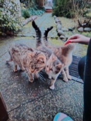 c7b05a4a-4534-4e2b-87dc-b62e8778baaa