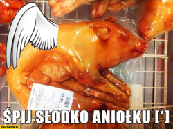 8e2949c5-65b9-47dd-bae6-f84fa76ad713