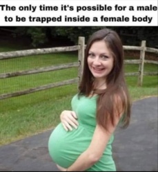 86fb95c4-f76a-4ea7-8d63-758901dc99f4