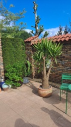 22c4462b-ebc9-4dad-a16a-cf72a1ddbab5