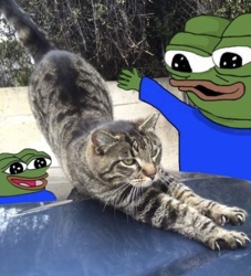 27e01484-6c6c-4c75-b789-c0b404384eac