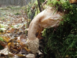 52427fcb-749c-4566-a459-62b3a4e8e348