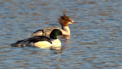 4480d47e-f685-4e0b-83c1-6ba51ee68fda