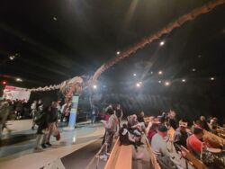 d8413aeb-174b-4d8c-bd87-2caea57e4f0a