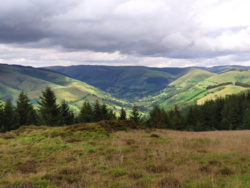 a16cfef6-d4e7-46ad-b8cf-eac6defe84aa