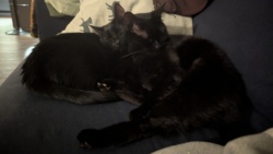 5f4e4cdb-270d-411a-b2c2-2f337977f20f