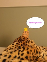 d3ab2e41-424b-4117-b35a-db9b1fd817c8