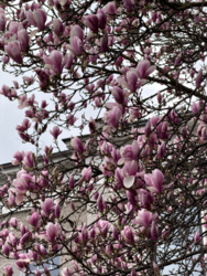 4f09f58e-91d1-446d-acbf-003866554f8d