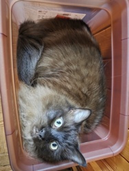 9e7b5fa9-c6af-4547-a214-017fe4015988