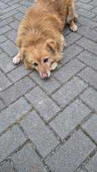 6cd9a52d-f5f1-4729-b0bf-84315506eb81